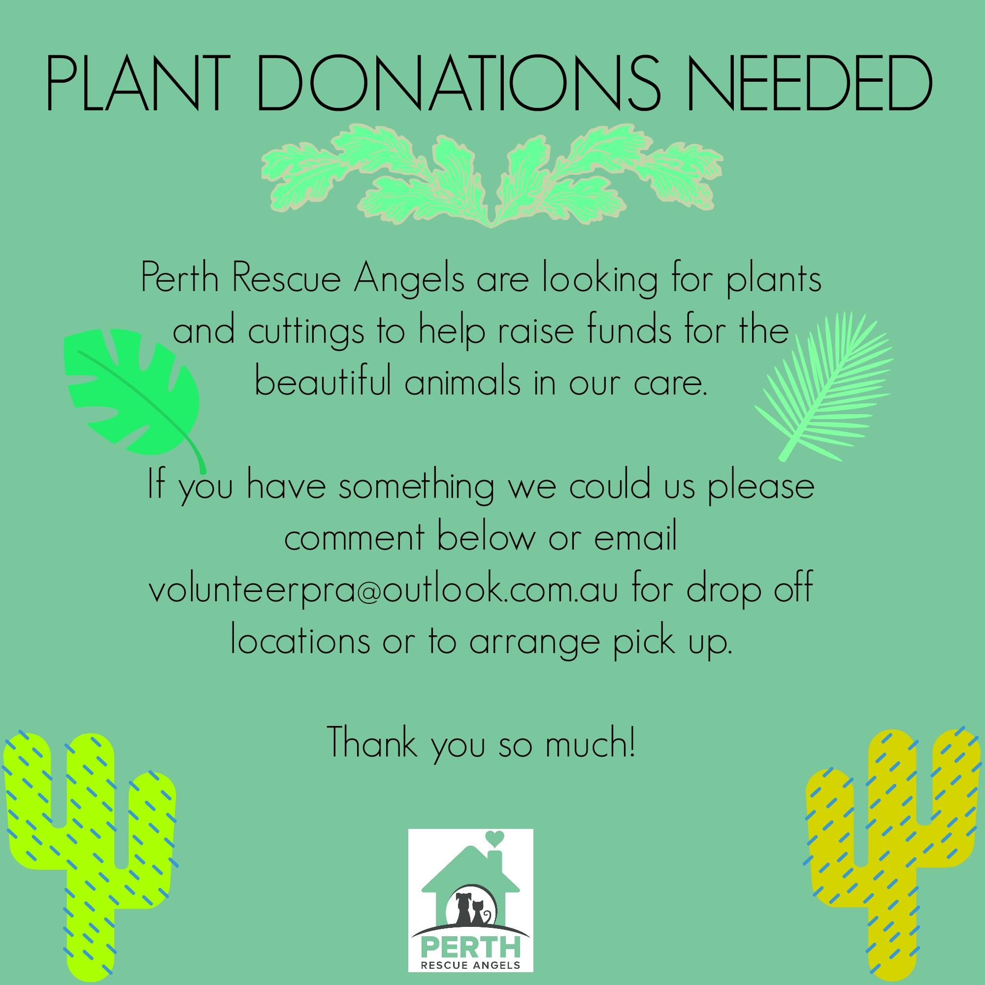 🌺🌵🌿 PLANT DONATIONS NEEDED 🌿🌵🌺 As... - Perth Rescue Angels