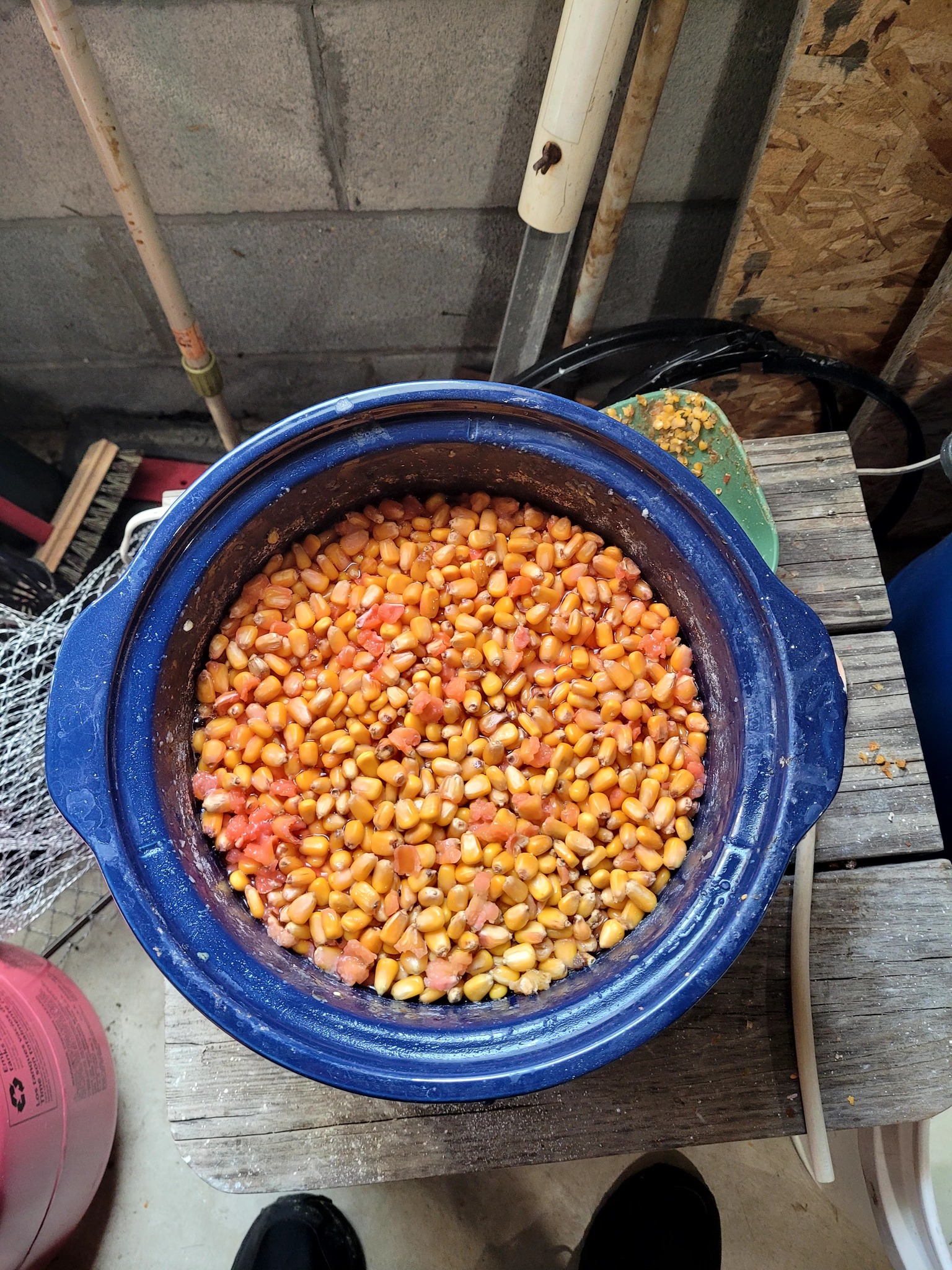 Proper Carp Baits Corn Kernels – Pop-Up Coarse Fishing Bait For Carp (Full Range Available)