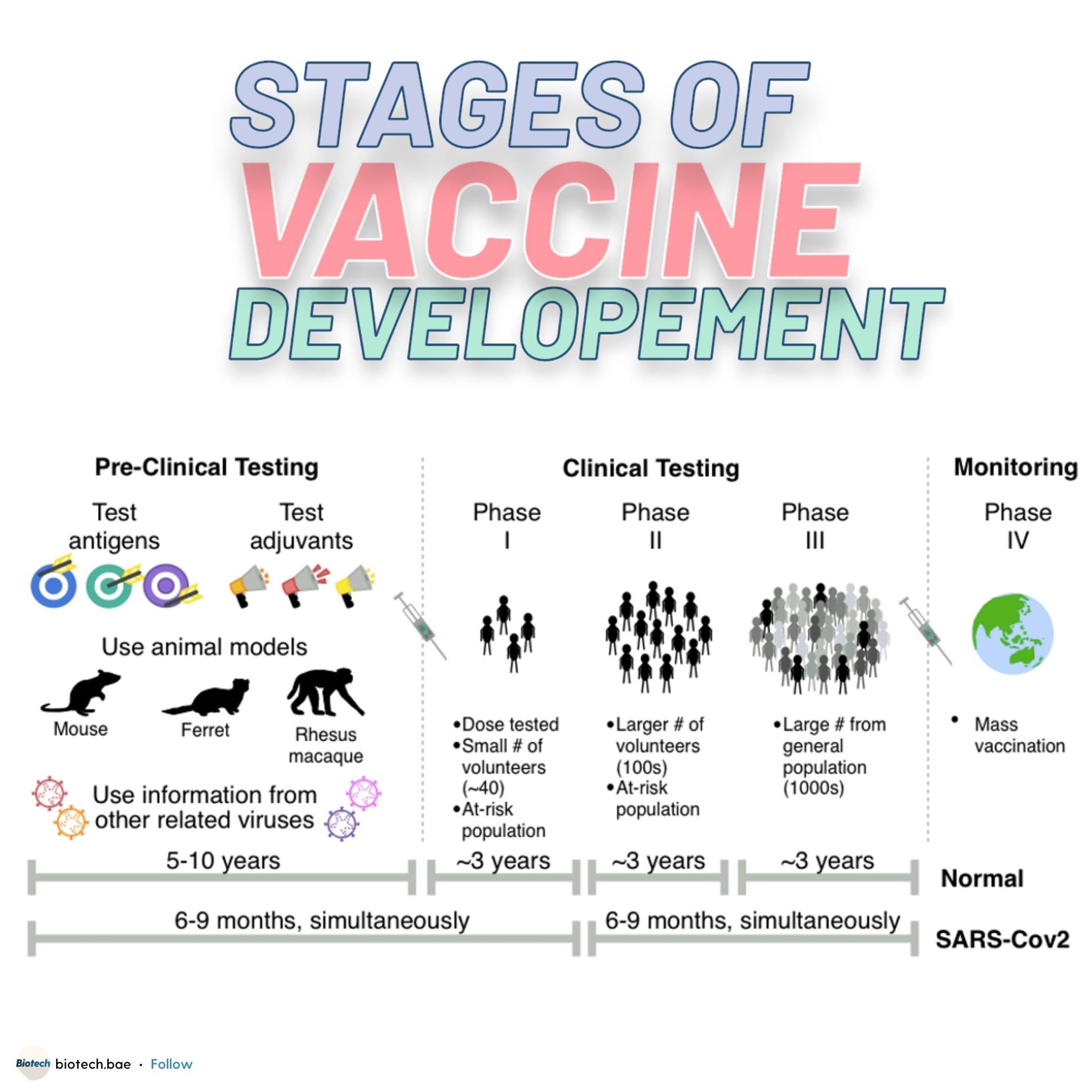 biotech.bae - Stages of Vaccine Development. Vaccine development is a ...