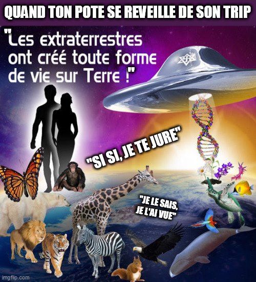 Analyse ton prod IDF - La décompensation psychotique ‼️ Rupture de l ...