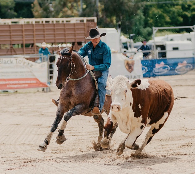 Warwick Rodeo & Gold Cup Campdraft 2024