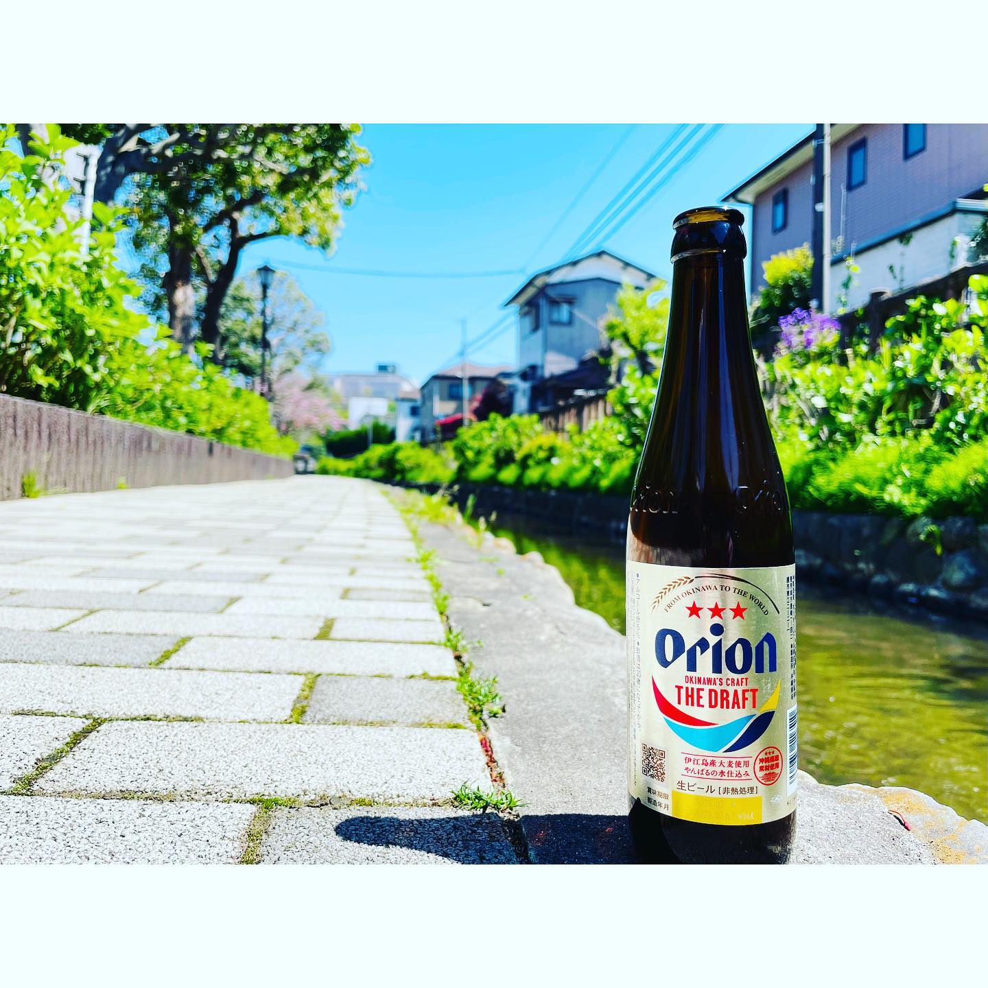 ハマの綾瀬はるかサイン ビールの売り娘 オマケあり