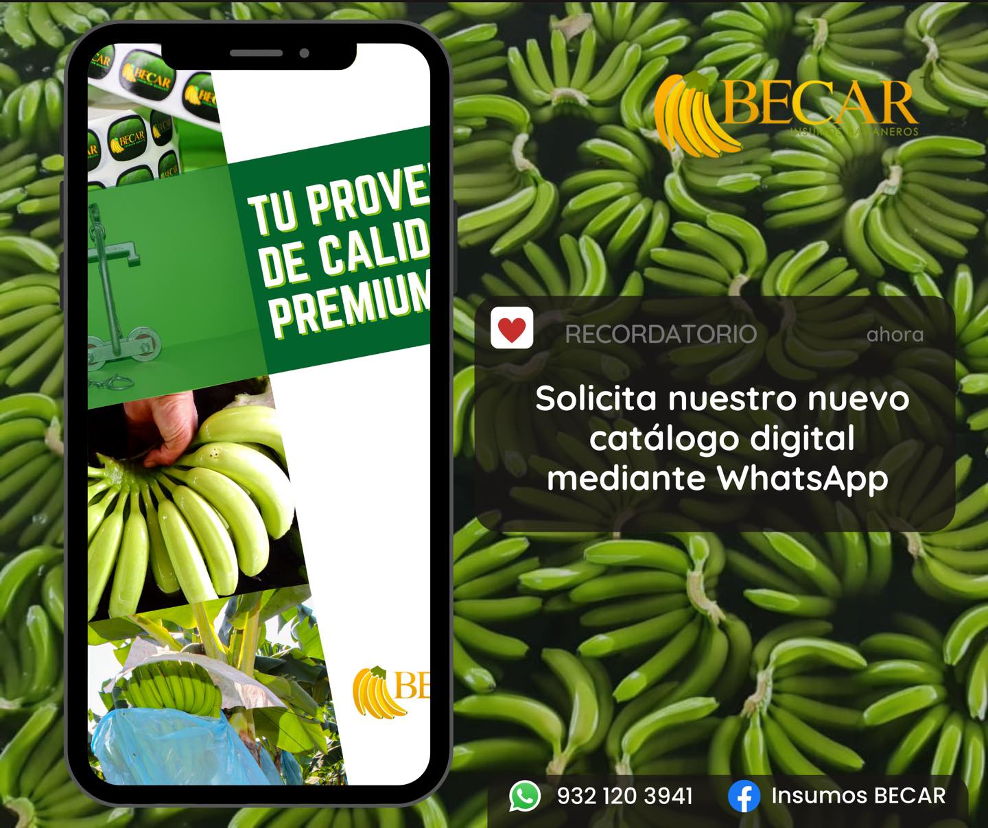 Insumos BECAR - Consulta nuestra nueva línea de productos... | Facebook