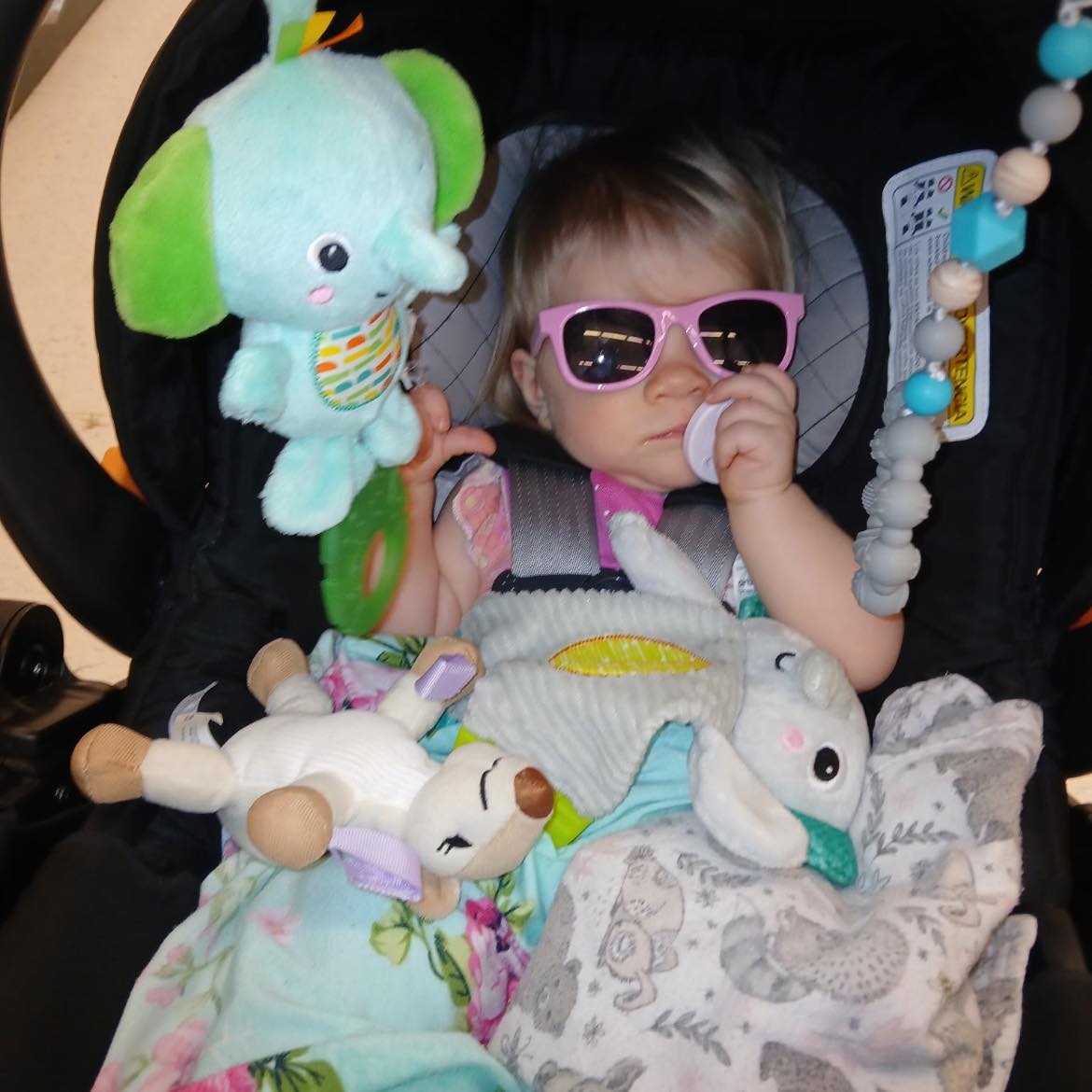 Texas RockHounds | My name is Melissa, and I’m a homeschool parent ...