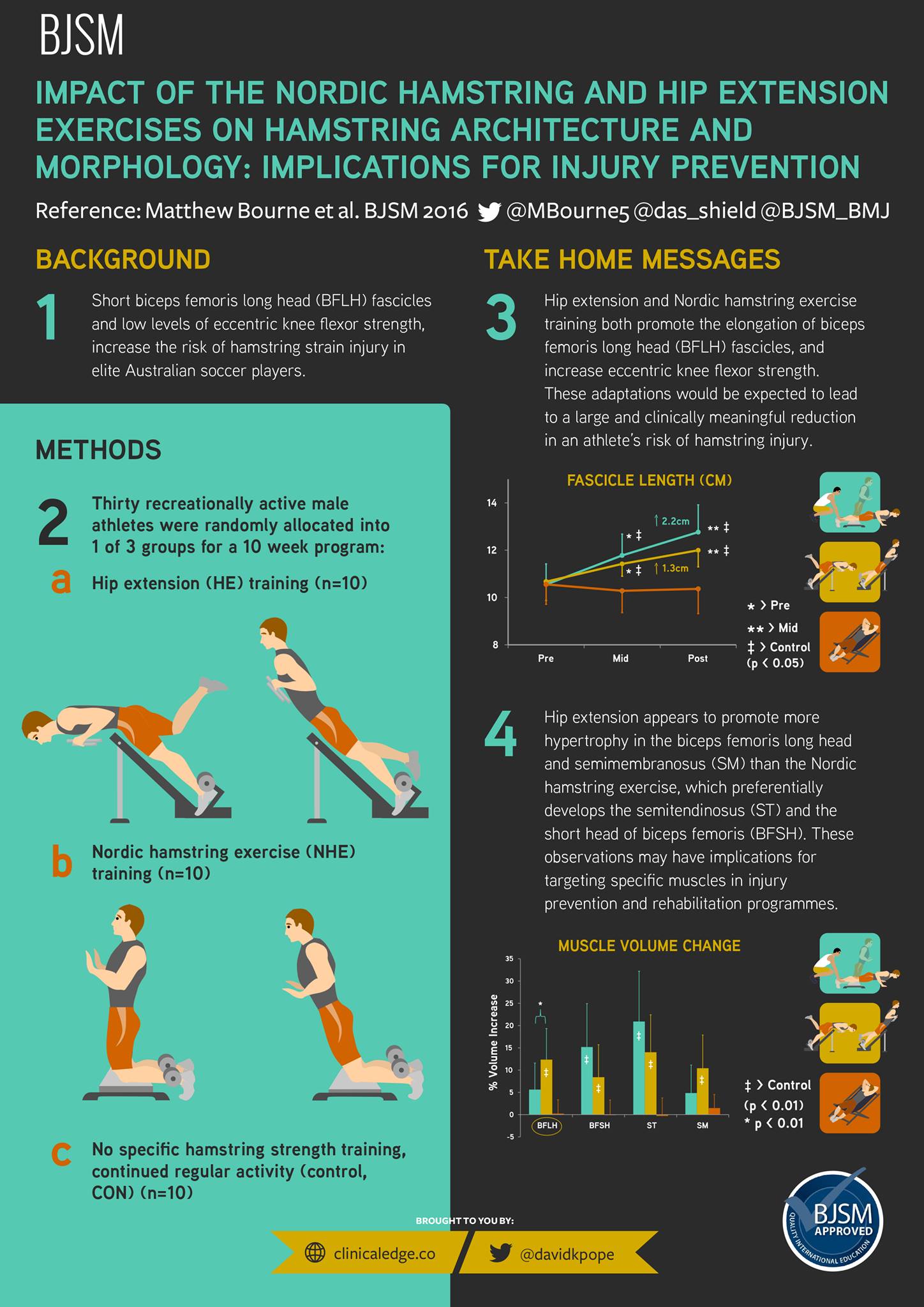 Clinical Edge - Infographic BJSM - Impact of the Nordic hamstring and ...