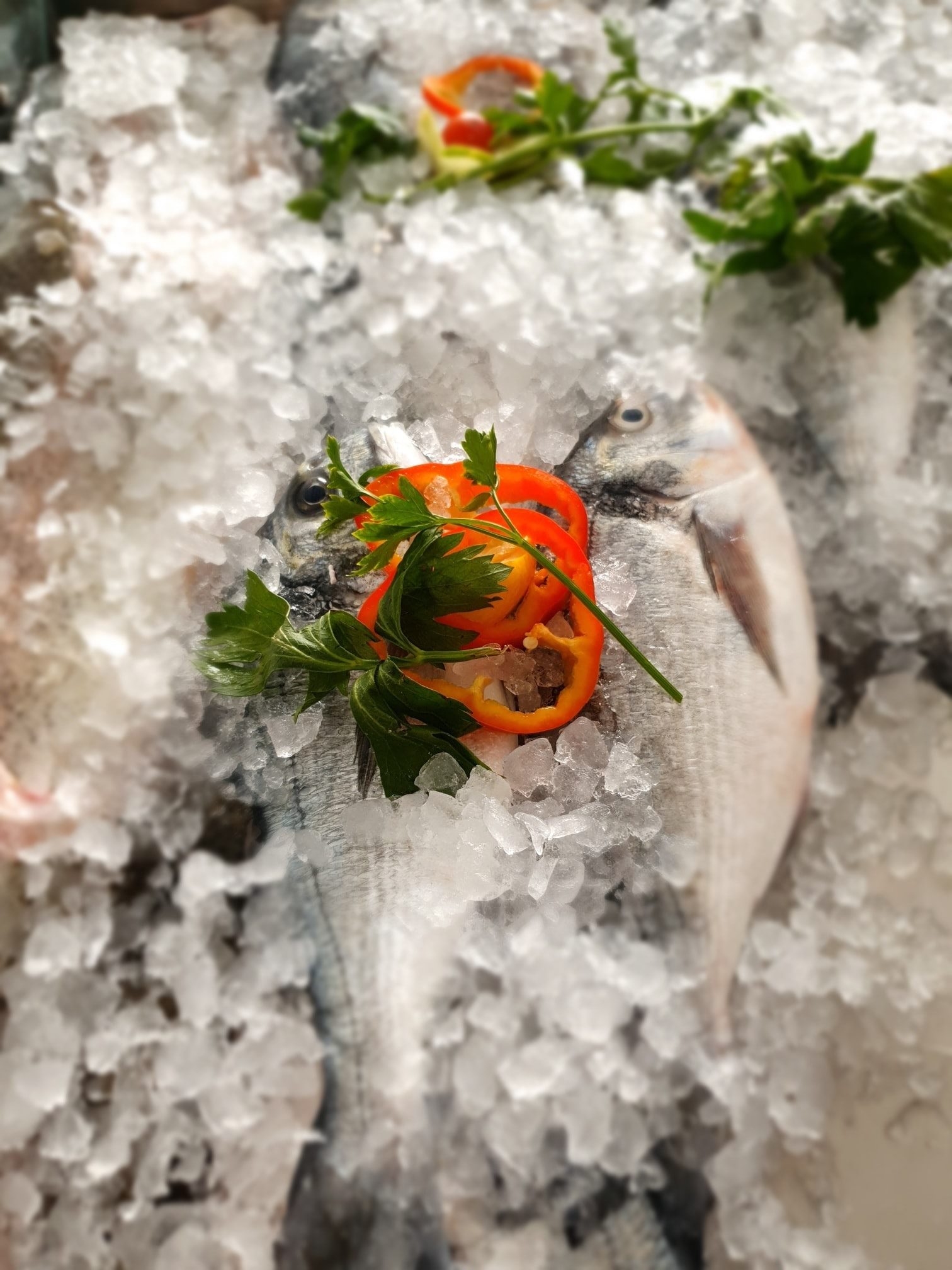 🐟🐟DOSTAVA SVJEŽE RIBE🐟🐟 RIBARNICA... - Ribarnica 