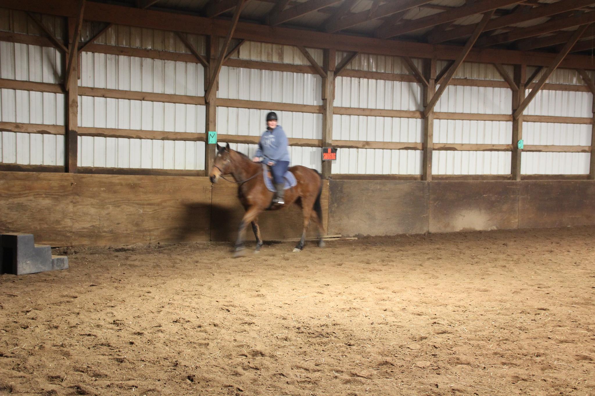 Out Back Stables | Newark NY