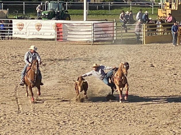 Warwick Rodeo & Gold Cup Campdraft 2024
