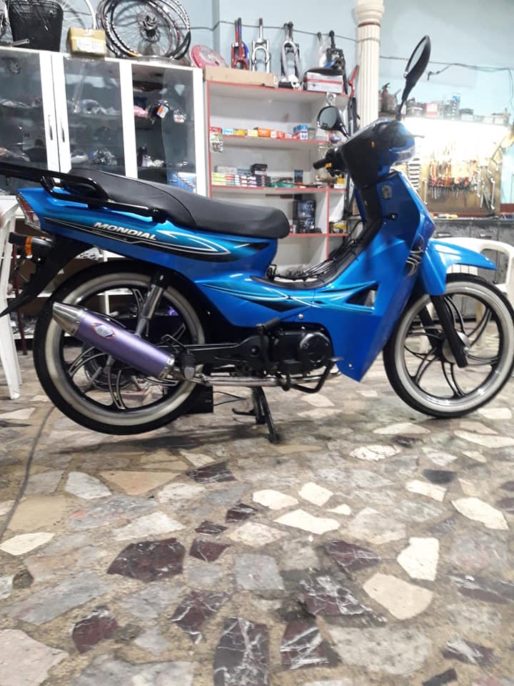 ARAZ MOTOR Bisiklet | Gemlik