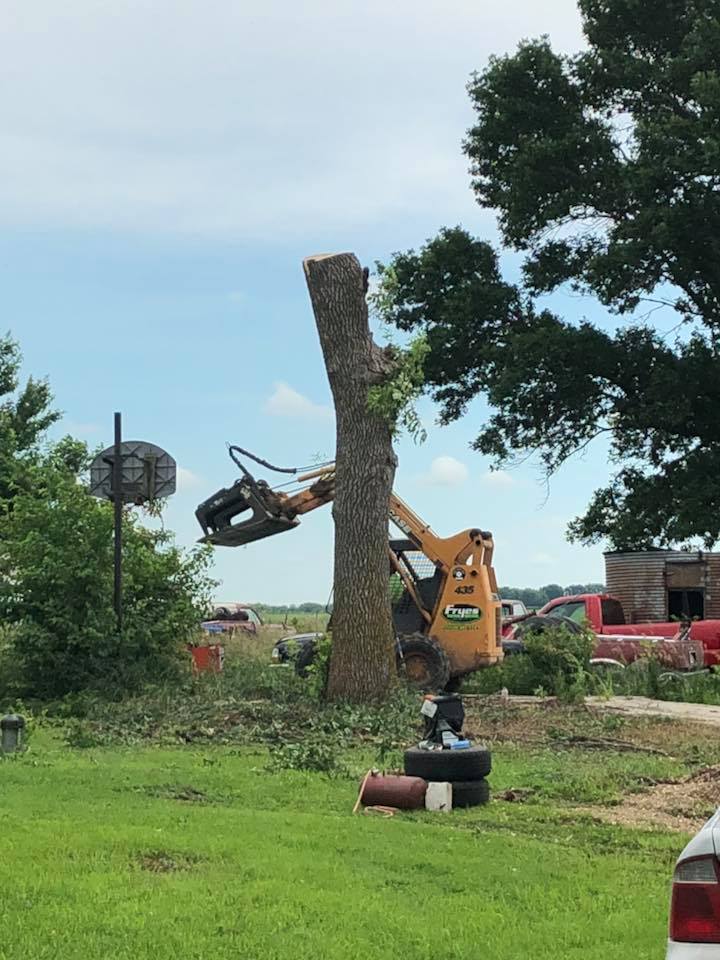Frye's Tree Service | Webster City IA