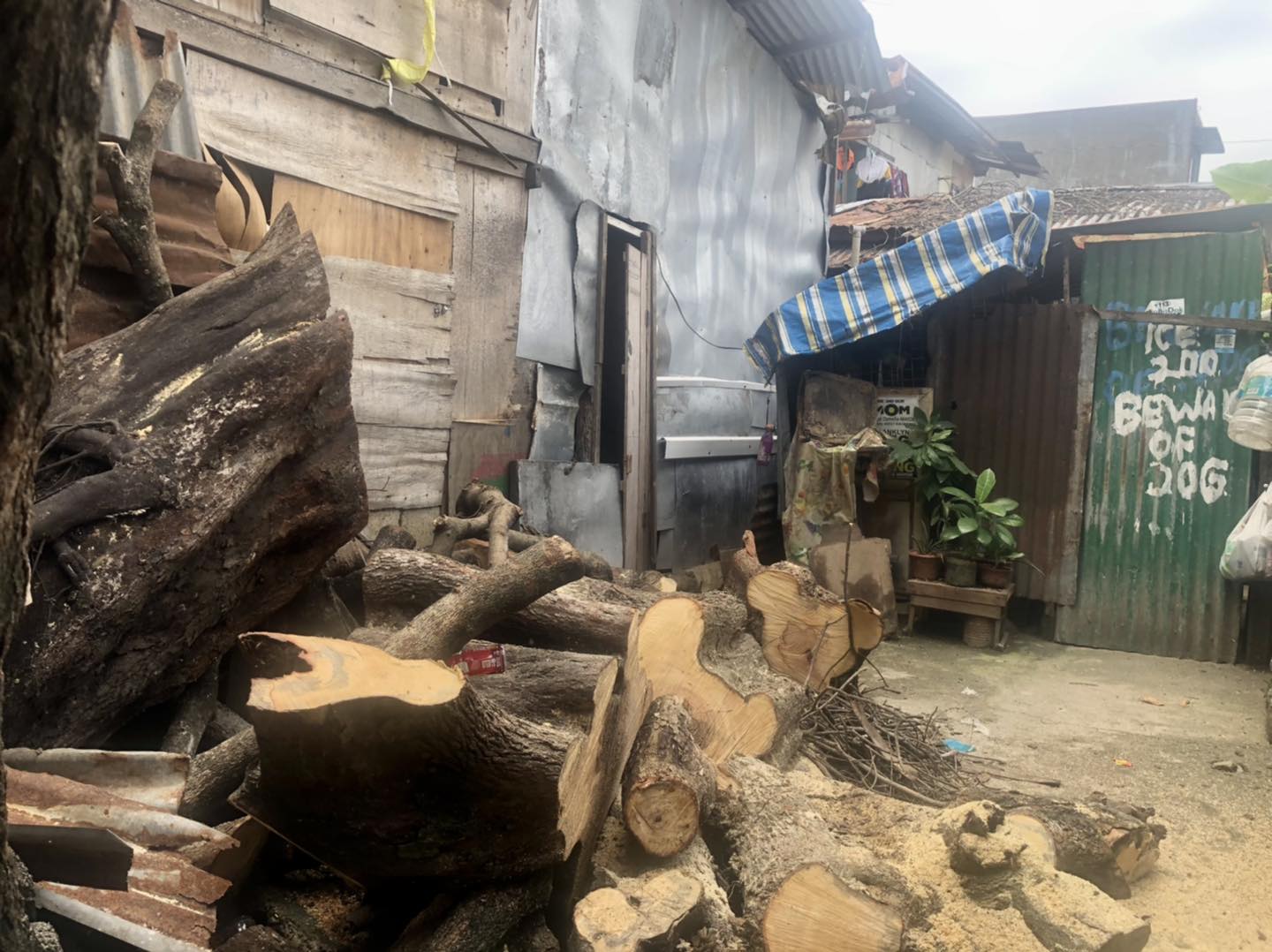 Day 4 of Cutting Trees @... - Barangay Calamba Fire & Rescue | Facebook