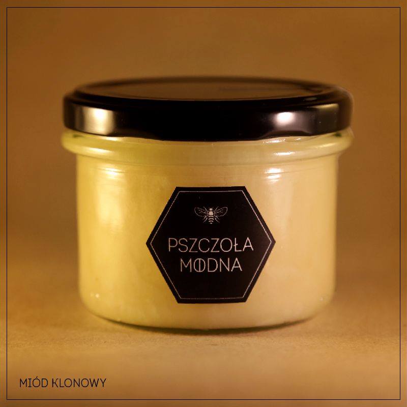 Pszczoła Modna