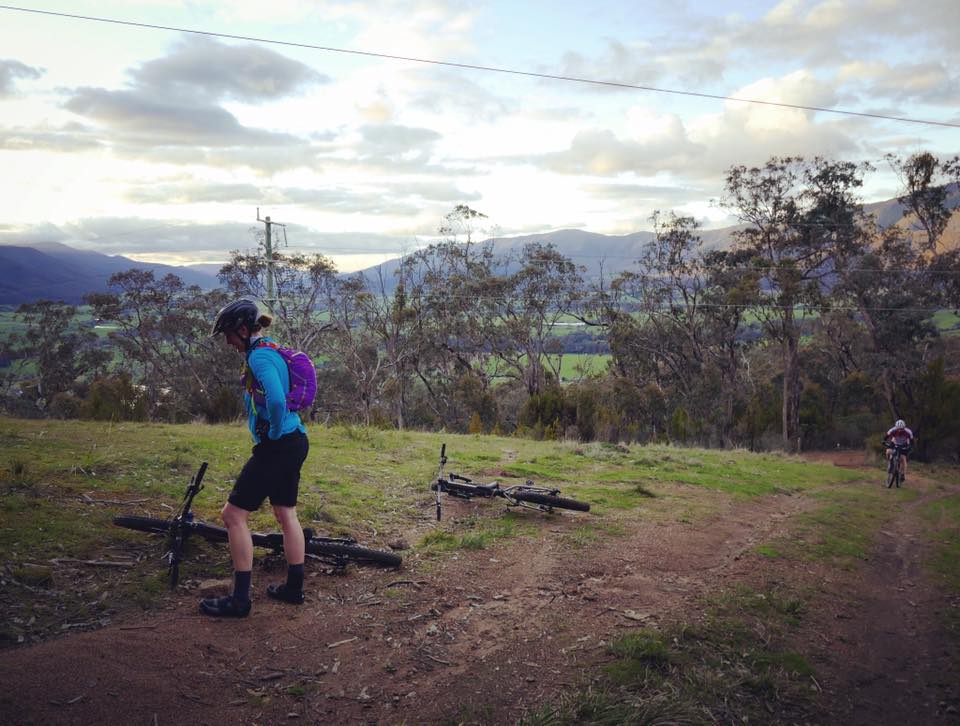 Singletrack Yaks