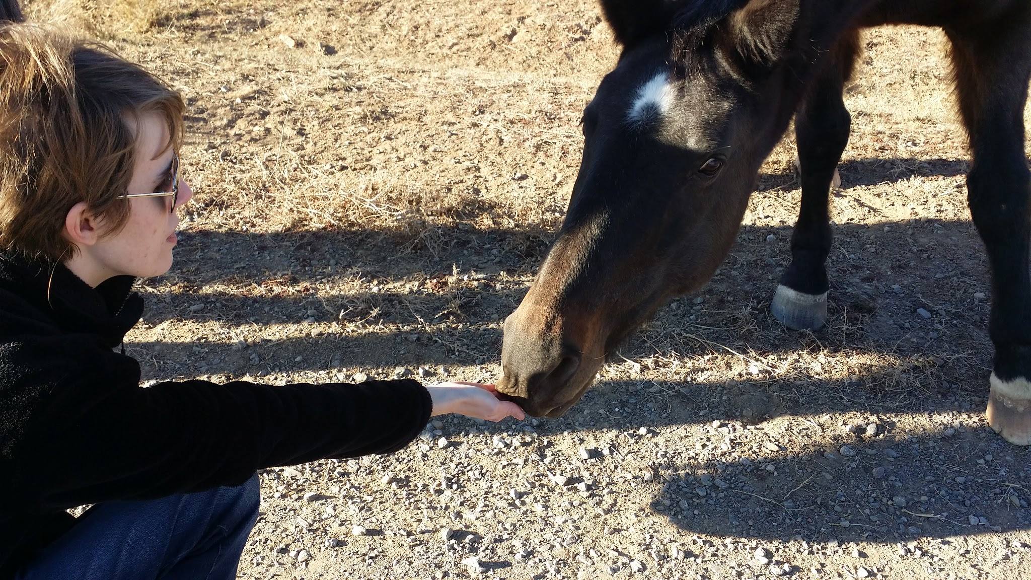 Rolling Thunder Ranch