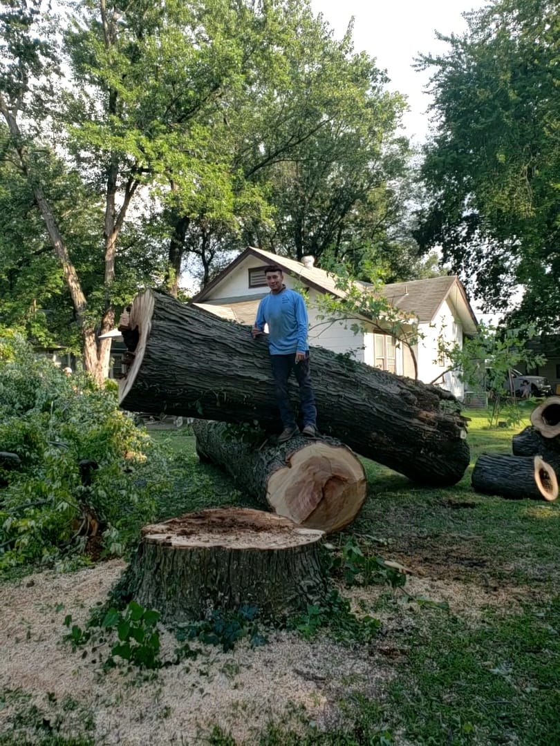E R Arborist Service LLC