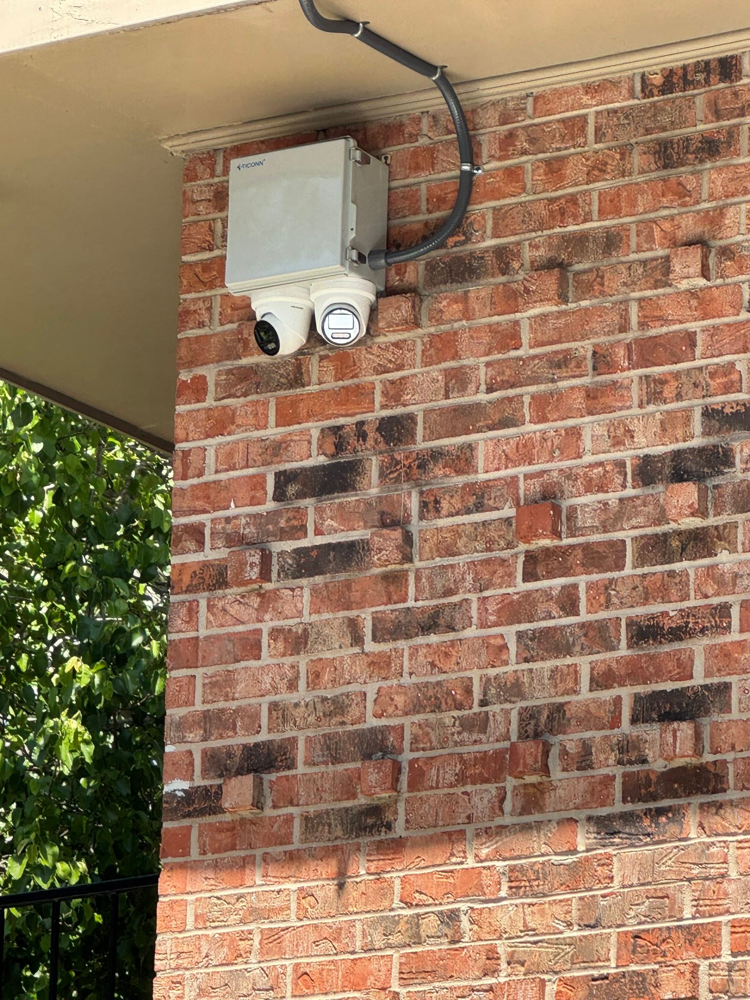 Soltek Louisiana