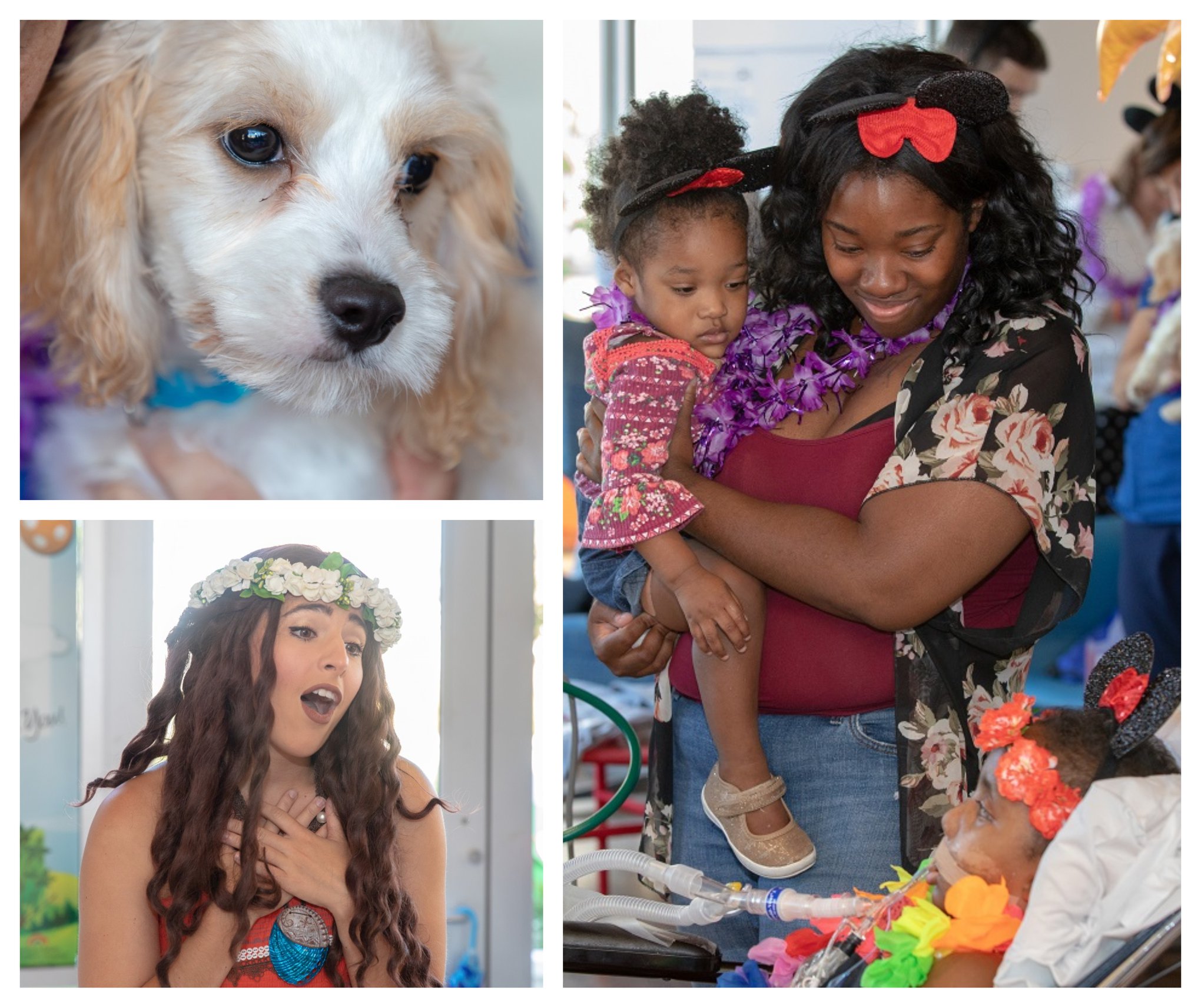 University - Our friend London was diagnosed with a brain tumor in ...