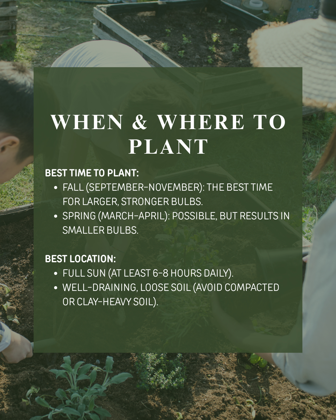 Nicholas Alexander Home & Garden | Vernon BC