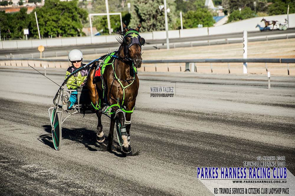 Clarinda Park Photography Services - Congratulations to Parkes Harness ...