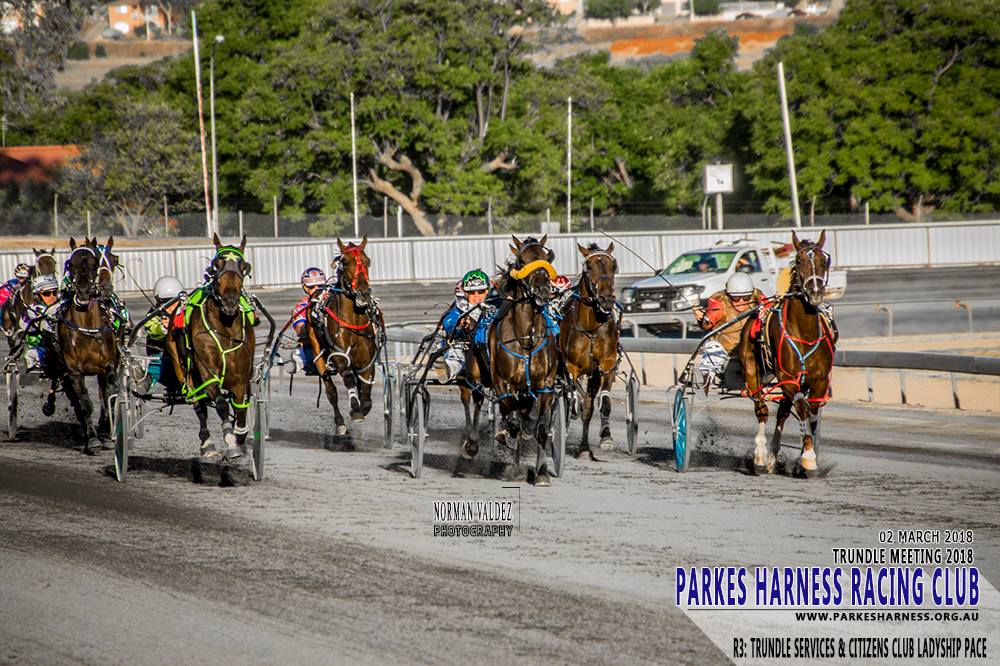 Clarinda Park Photography Services - Congratulations to Parkes Harness ...