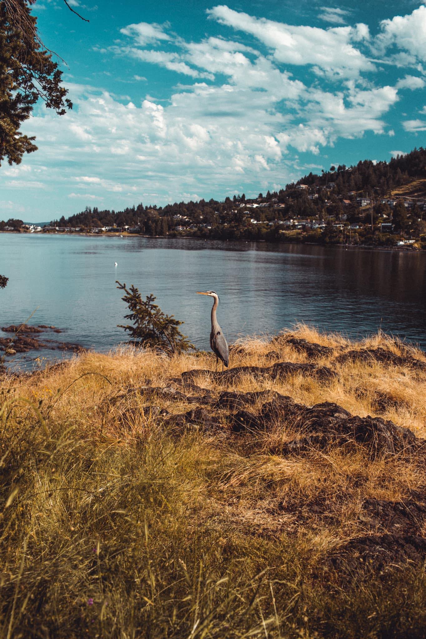 Reina Stancic, RMT | Lake Cowichan BC