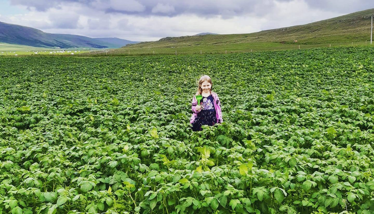 Lundarreykjadalur - Vegna mistaka hjá Íslandspósti barst auglýsing ...