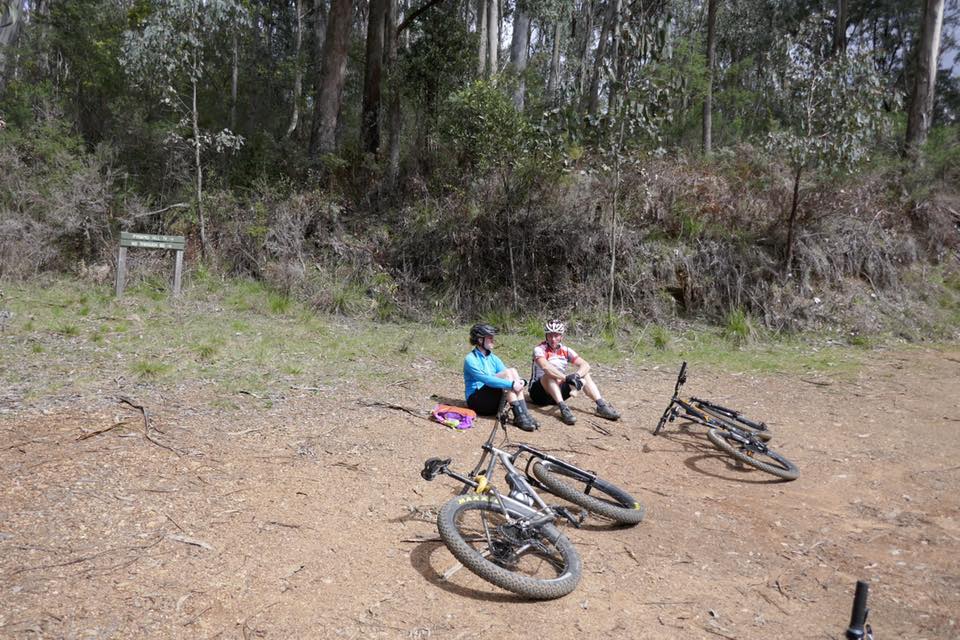 Singletrack Yaks