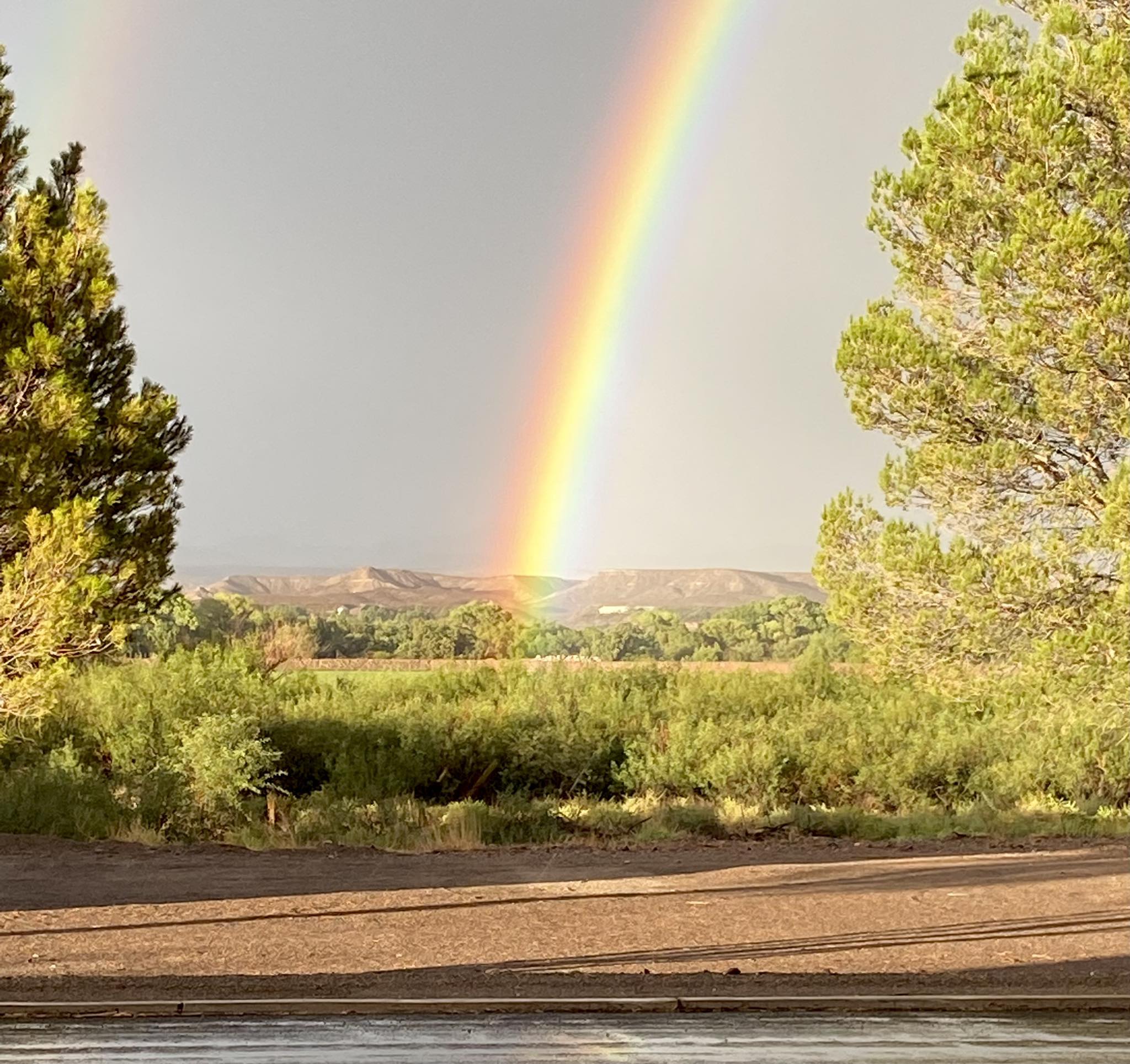 Tim George - The ends of that vivid rainbow were maybe 1/4... | Facebook