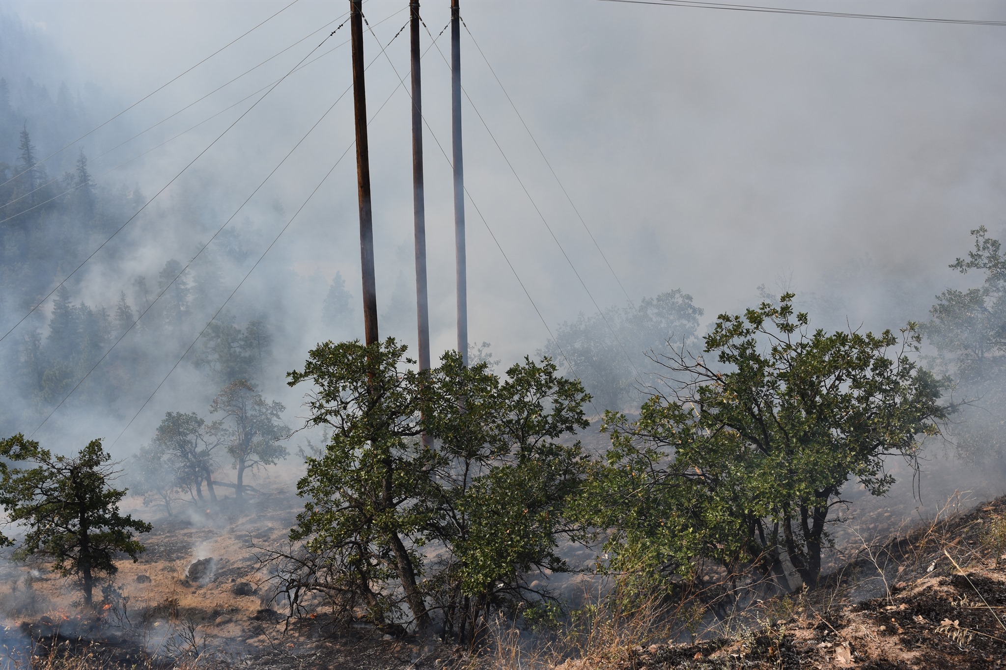 White River Fire Update 24... - Wasco County Sheriff's Office