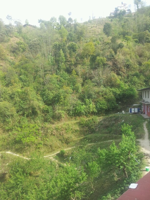 Prem Neupane