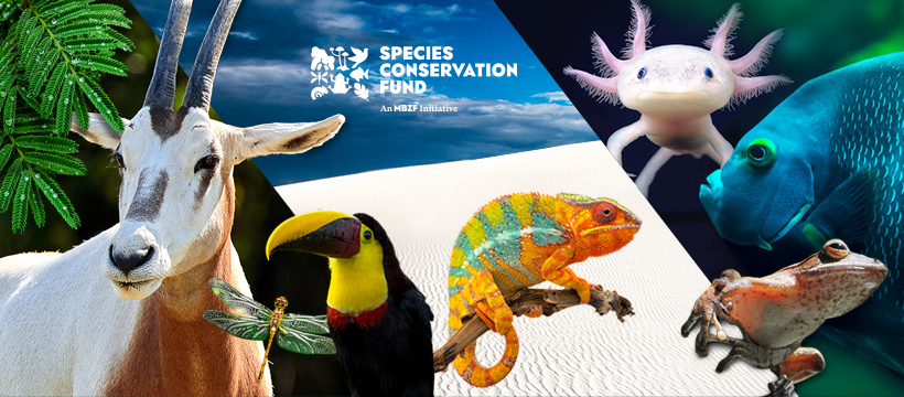 Species Conservation Society Reference: Species Conservation Fund