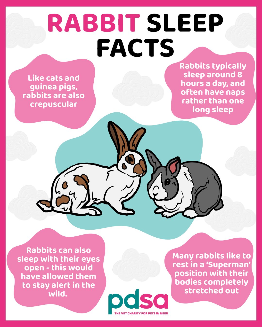 Ponder’s Pet Sitting | Granite City IL