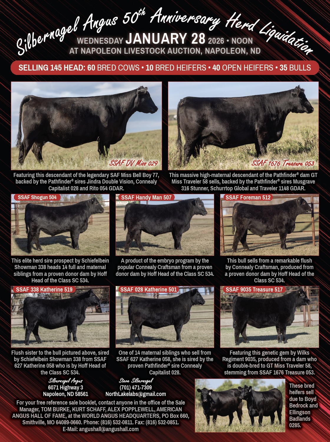 Silbernagel Angus 50th Anniversary Herd Liquidation