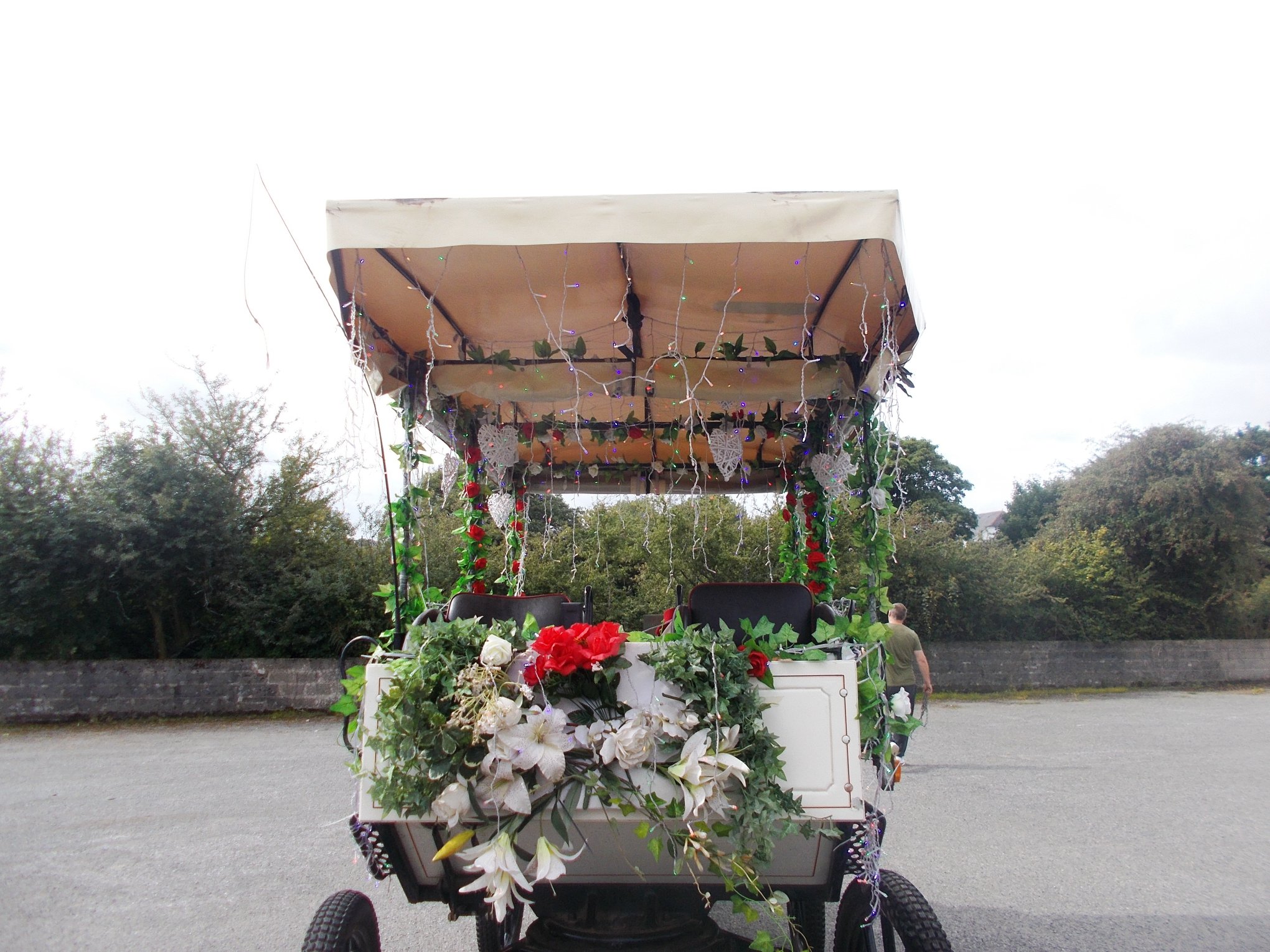 Tenby Carriage rides