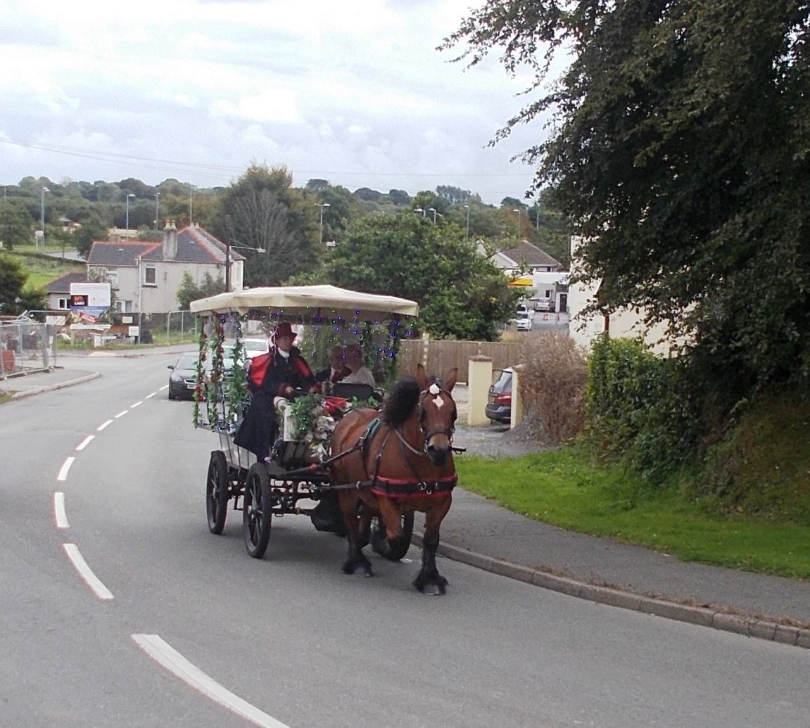 Tenby Carriage rides