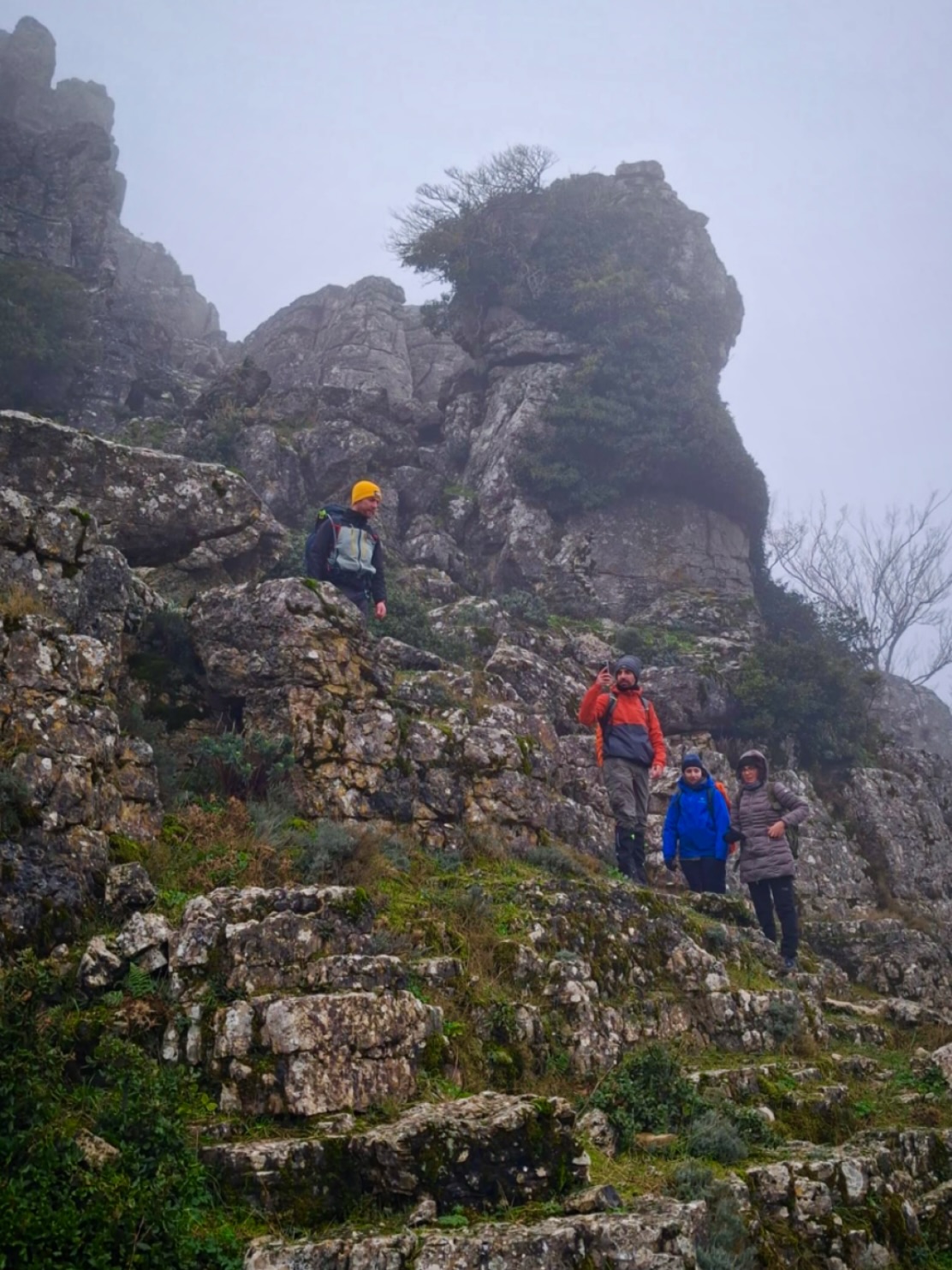 Ardoc - Tra rocce antiche e surreali, nebbia, alberi secolari e passi ...