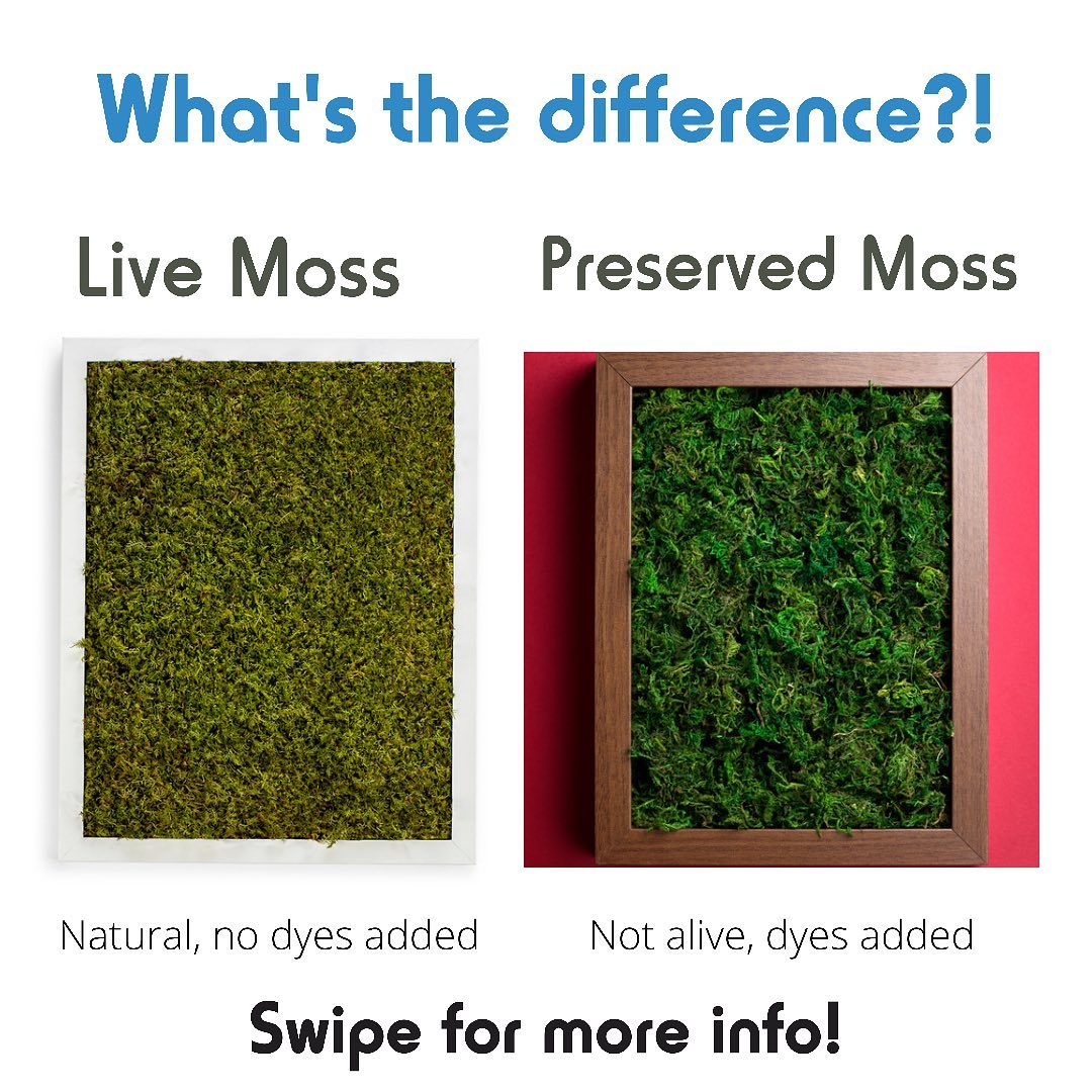 Moss Pure - We get so many questions about the difference...
