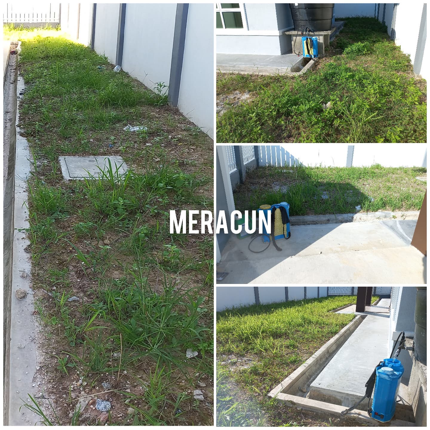 Tugasan : #Meracun Lokasi:... - Potong Rumput Seremban