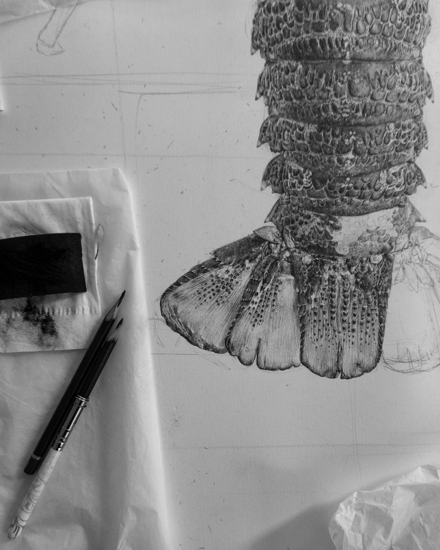 Tim Li Art - Kōura update. Working on the tail today. Then... | Facebook