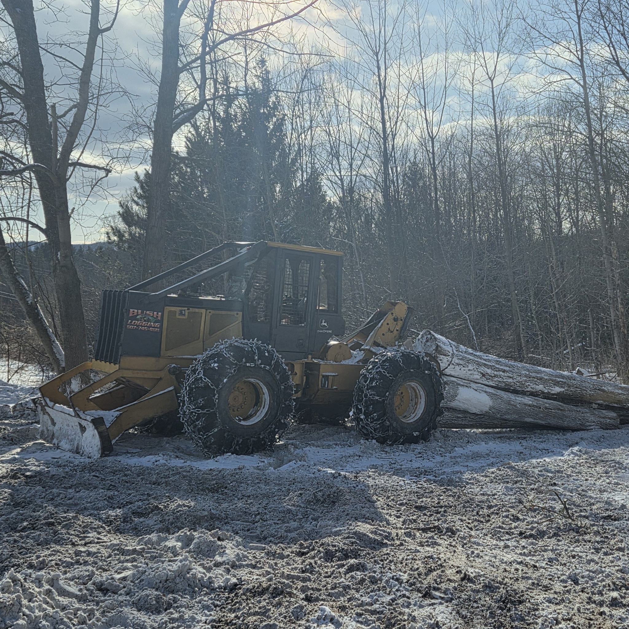 Bush logging & Forestry LLC | Homer NY