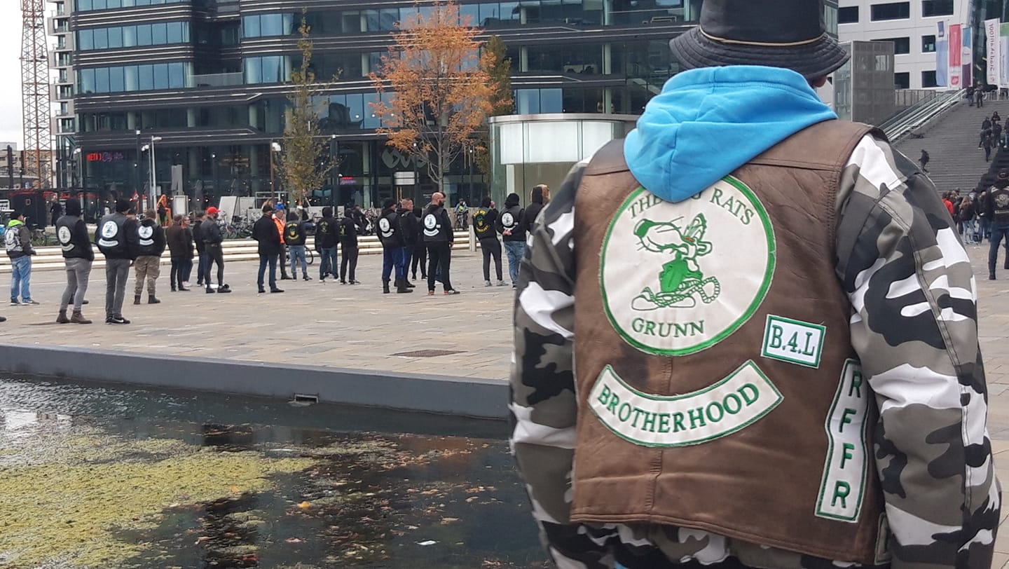 Broderhood the big rats