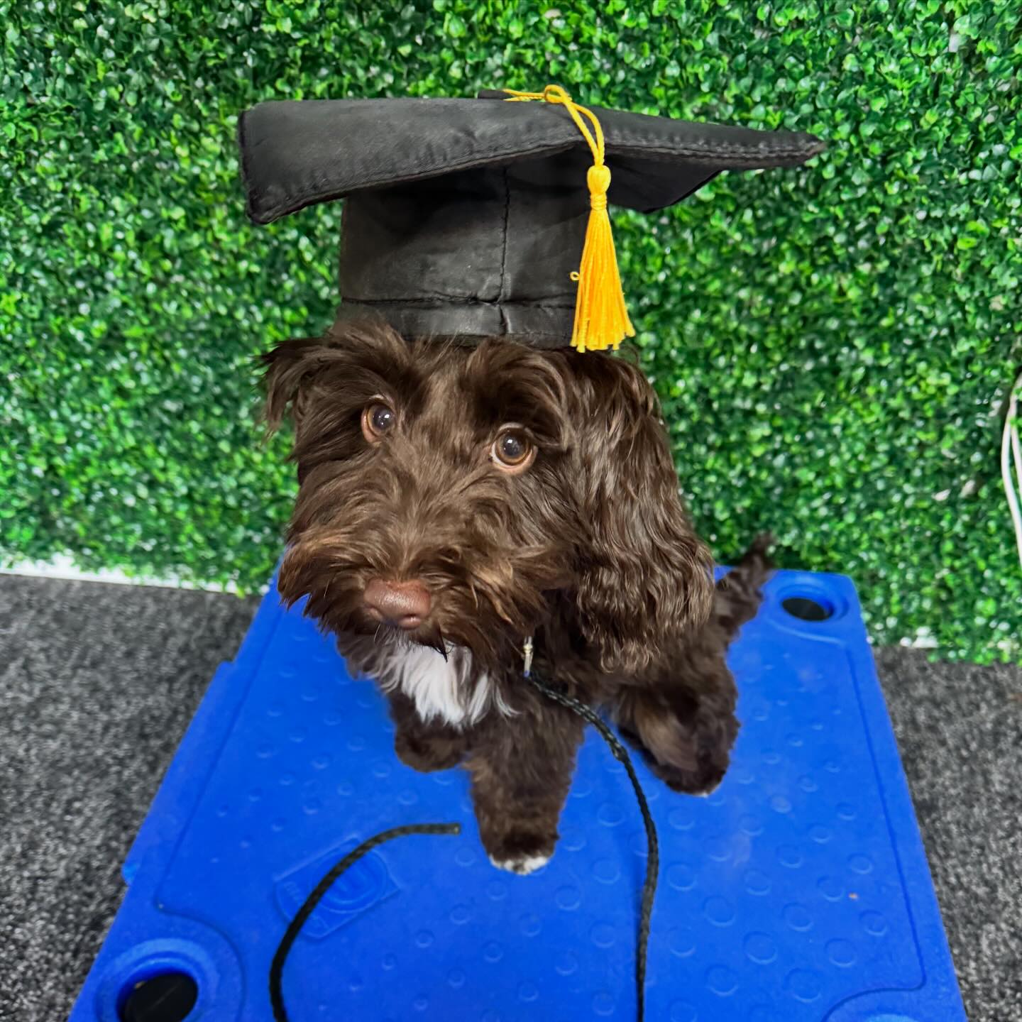 Adventure - Congratulations to Ruby on graduating from her program! We ...