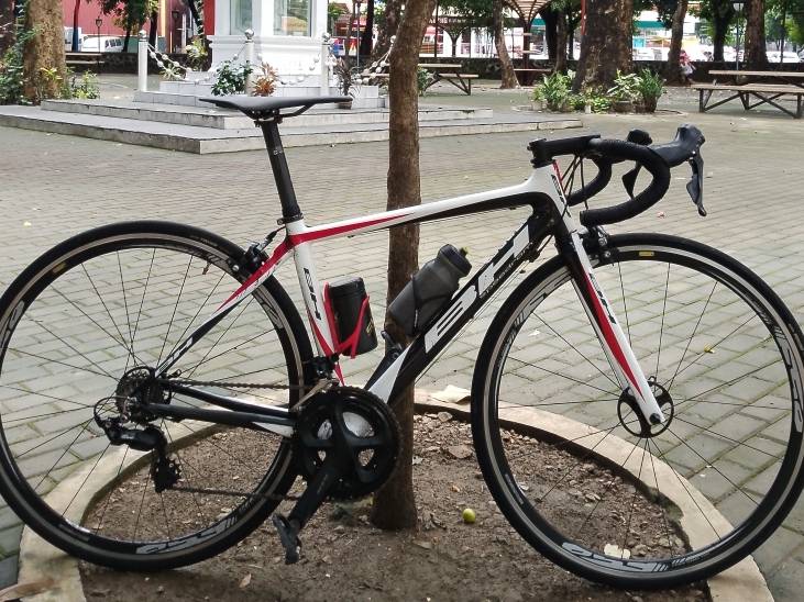 Carbon frameset for sale