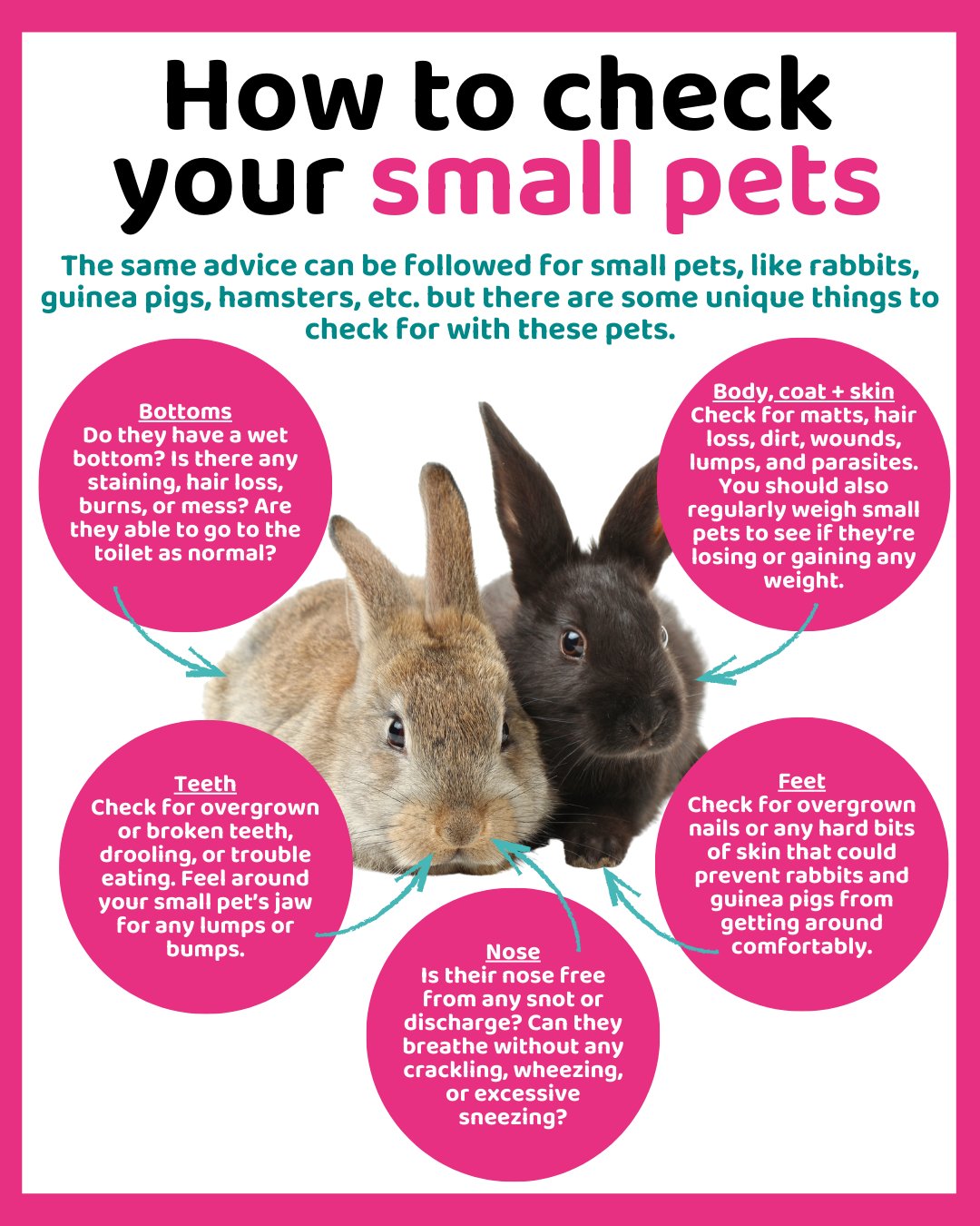 PDSA - PDSA added a new photo.