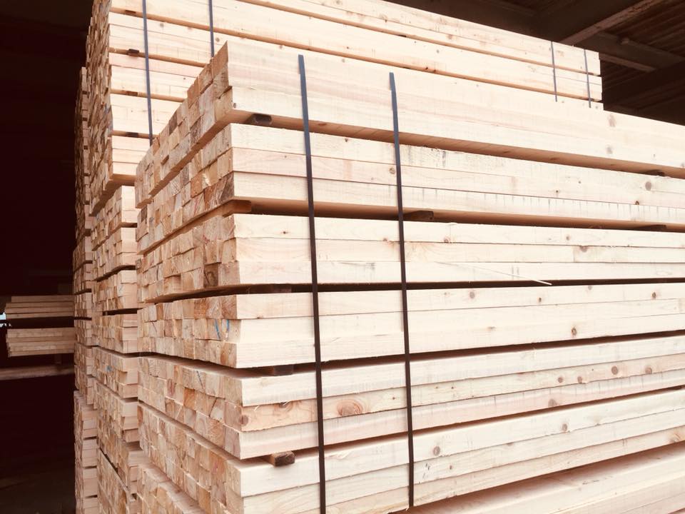 株式会社瓜守材木店 - 今天的桧木 #桧木 #檜木 #ヒノキ #hinoki | Facebook