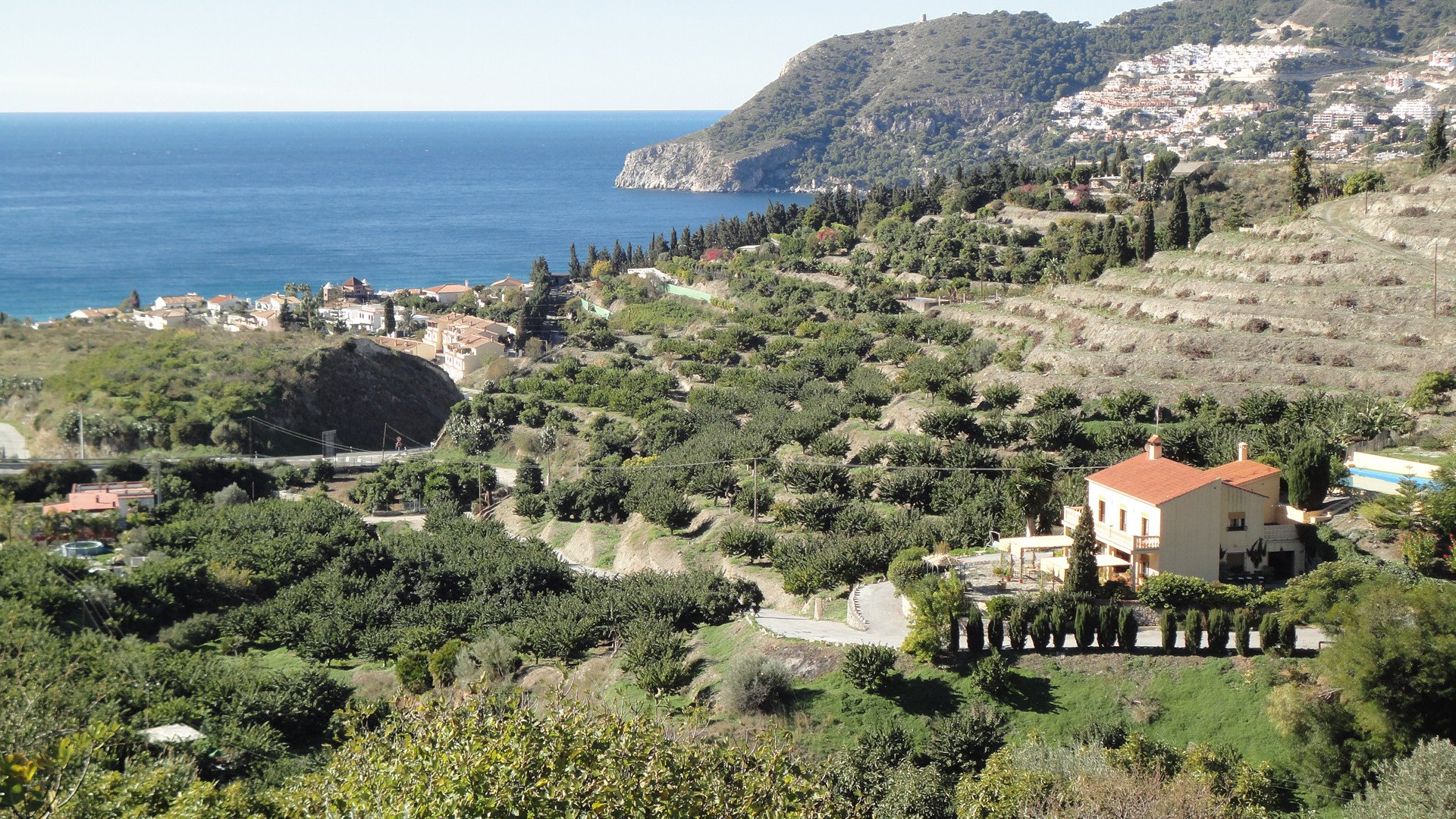 Finca San Ramón | La Herradura