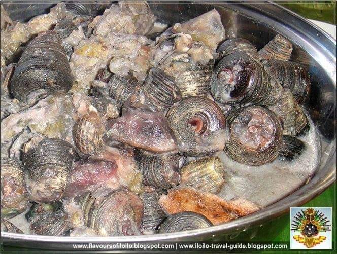 Iloilo Food Trip - GINAT-AN nga BAGONGON, DAGMAY kag TAKWAY 😋 Nagaka-on ...