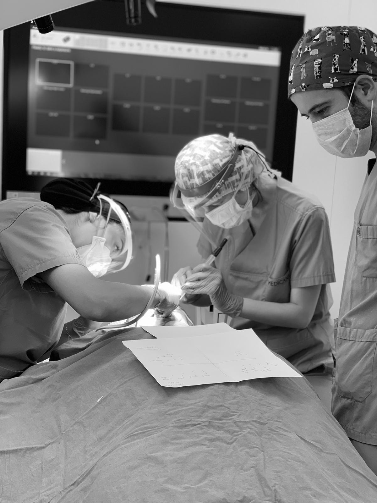 ITMT group - Elite... - ITMT group - Elite Medical Tourism