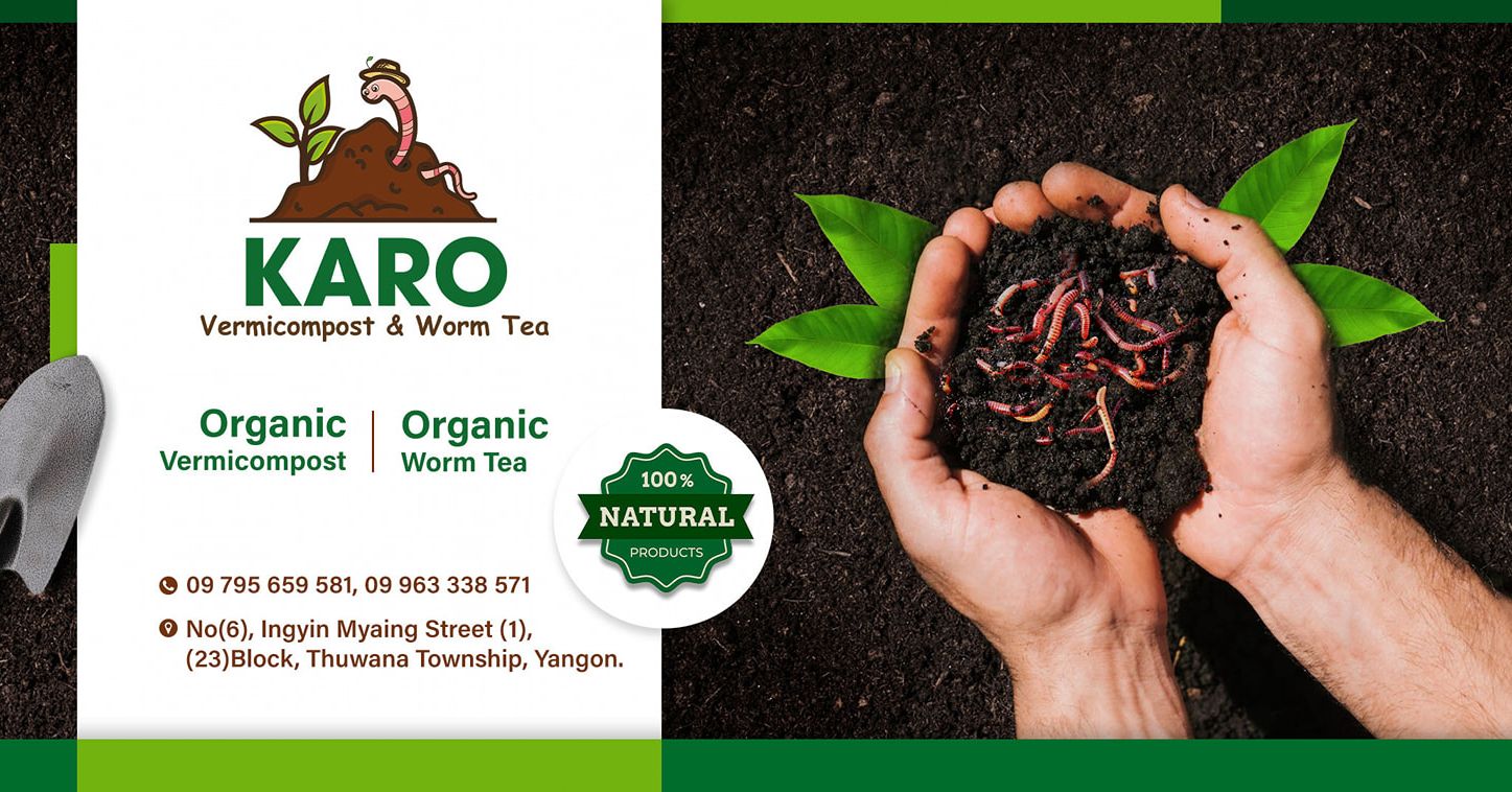 Karo Vermicompost & Worm Tea တီကောင်ချေးမြေဩဇာနှင့်အကျိုးပြုအဏုဇီဝအရည ...