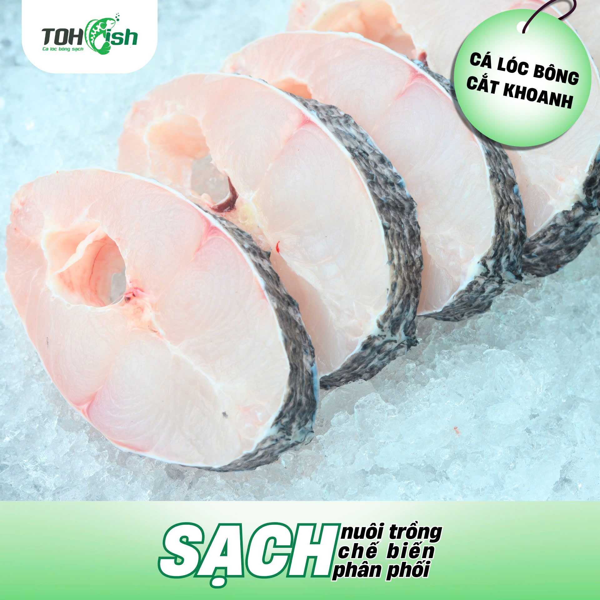 Toh Fish